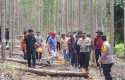 Kapolda-Riau-di-lokasi-gajah-mati.jpg