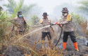 Kapolres-Rohil-Ikut-Berjibaku-Padamkan-Karhutla-di-Tanah-Putih.jpg