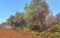 Karhutla-5-ha-di-bengkalis.jpg