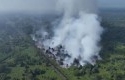 Karhutla-Ancam-Riau-Kebakaran-Terjadi-di-Pelalawan-dan-Pekanbaru.jpg