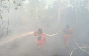 Karhutla-Kembali-Mengganas-di-Riau-Api-Membara-di-Pelalawan-hingga-Inhil.jpg