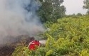 Karhutla-di-Desa-Karya-Indah.jpg