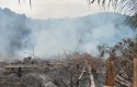 Karhutla-di-hutan-lindung-kuansing.jpg