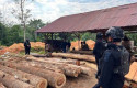 Kayu-olahan-ilegal2.jpg