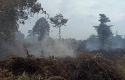 Kebakaran-Hutan-dan-Lahan16.jpg