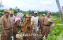 Kelompok-Tani-Cemerlang-Buktikan-Gambut-Produktif-untuk-Hortikultura-di-Siak.jpg