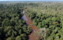 Kemenhut-Tangkap-Aktor-Utama-Perambahan-Hutan-TN-Berbak-Sembilang.jpg