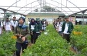 Kerinci-Central-Nursery.jpg