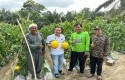 Ketua-dprd-siak-bersama-petani-melon.jpg