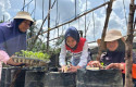Kisah-Chaidir-Saleh-Beri-Sentuhan-Manisnya-Melon-Premium-untuk-Petani-Milenial.jpg