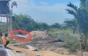 Korban-tewas-diserang-gajah.jpg