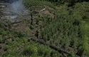 Ladang-ganja-di-Aceh2.jpg