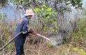 Lahan-Kosong-25-Hektare-di-Tengah-Kota-Pekanbaru-Diduga-Sengaja-Dibakar.jpg