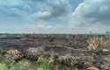 Lahan-polda-riau-yang-terbakar.jpg