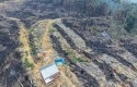 Lahan-yang-dibakar-di-rohul.jpg