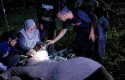 Laila-Anak-Gajah-Sumatera-di-PKG-Sebanga-Bengkalis-Dilaporkan-Mati.jpg
