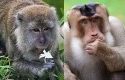Lanskap-Lapangan-Garuda-sebagai-rumah-bagi-berbagai-flora-dan-fauna-liar.jpg