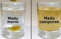 Madu-asli.jpg