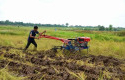 Meningkatkan-Kualitas-dan-Hasil-Panen-Padi-di-Desa-Pulau-Muda-Pelalawan.jpg