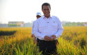 Mentan-Amran-Optimistis-Produksi-Beras-Nasional-Tetap-Aman-Hadapi-El-Nino.jpg