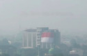 Merah-Putih-Berkibar-di-Tengah-Kabut-Asap-Pekanbaru-Warga-Asap-Saja-Punya-Arah.jpg