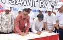 MoU-Replanting-Kebun-Sawit-PTPN-V.jpg