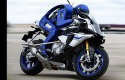 Motobot-Yamaha.jpg