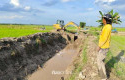 Normalisasi-Tak-Kunjung-Dilakukan-Petani-Bungaraya-Bertindak-Mandiri.jpg