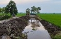 PU-BWSS-III-Riau-Gali-Parit-Untuk-Mudahkan-Petani-Bungaraya-Peroleh-Air.jpg