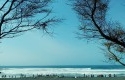 Pantai-Goa-Cemara.jpg