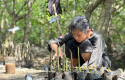 Pembibitan-mangrove-di-siak2.jpg
