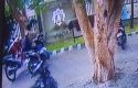 Pencuri-motor-terekam-CCTV.jpg