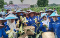 Peringatan-HUT-ke-24-Demokrat.jpg
