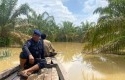 Personel-brimob-tinjau-korban-banjir.jpg