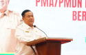 Plt-Gubri-di-BRK.jpg