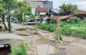 Pohon-Pisang-di-jalan-rusak.jpg