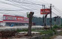 Pohon-di-panam-ditebang.jpg