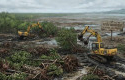 Polda-Riau-Sita-Dua-Excavator-dan-Bekuk-Dua-Tersangka-Perusakan-118-Hektare-Mangrove.jpg