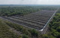Polisi-Amankan-Dua-Ekskavator-Diduga-Dipakai-Babat-Hutan-Mangrove-di-Rohil.jpg