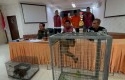 Polisi-Ungkap-Kasus-Perdagangan-Kucing-Hutan-dan-Pemelihara-Siamang-Ilegal.jpg