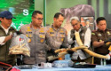 Polisi-Ungkap-Peran-Pelaku-dalam-Sindikat-Gading-Gajah-Sejak-2024.jpg