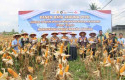 Polsek-Kulim-Panen-Raya-Jagung-Dukung-Swasembada-Pangan-Nasional.jpg