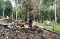 Pondok-Tani-Hutan-dibakar.jpg