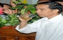 Presiden-Jokowu-minum-Jamu.jpg