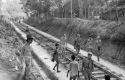 Rel-Pekanbaru-Muaro.jpg