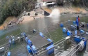 Rem-Blong-Truk-Bermuatan-Pakan-Ikan-Terjun-ke-Danau-PLTA-Kampar.jpg