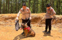 Reno-anjing-k9-polda-riau.jpg