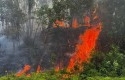 Riau-Darurat-Karhutla-Kabut-Asap-Lintasi-Batas-Negara-Hingga-ke-Malaysia.jpg