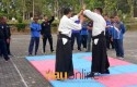 Seni-beladiri-Aikido.jpg