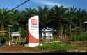 Sime-Darby-Minamas-Plantation.jpg